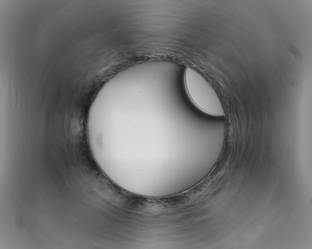 X0000111370608200907101018
