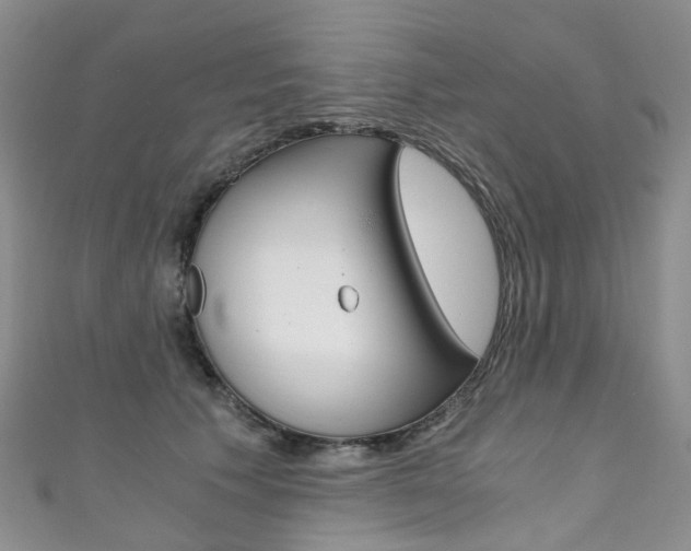 X0000111370609200907101018