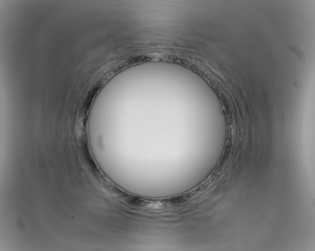X0000111370611200907101018