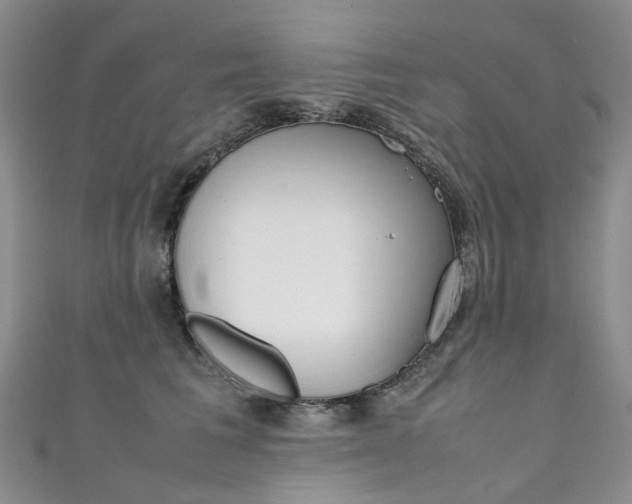 X0000111370613200907101018