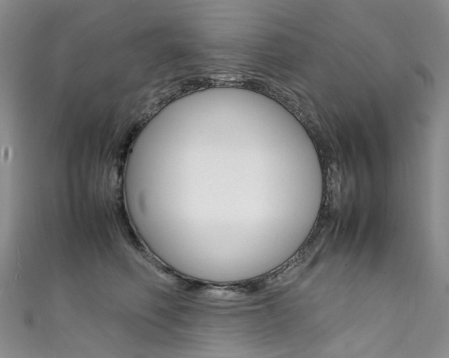 X0000111370614200907101018