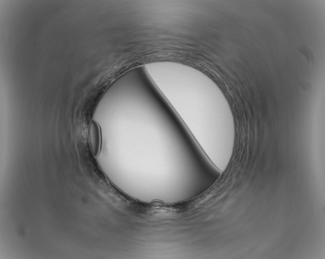X0000111370617200907101018