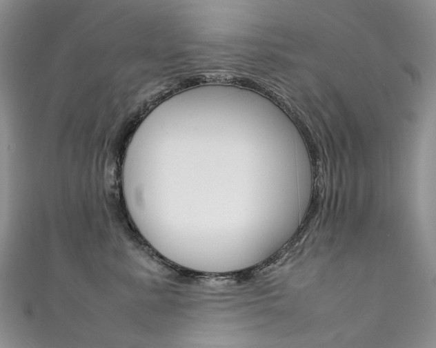 X0000111370619200907101018