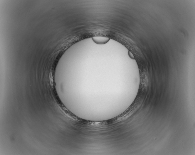 X0000111370622200907101018