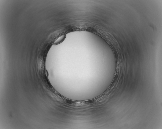 X0000111370623200907101018