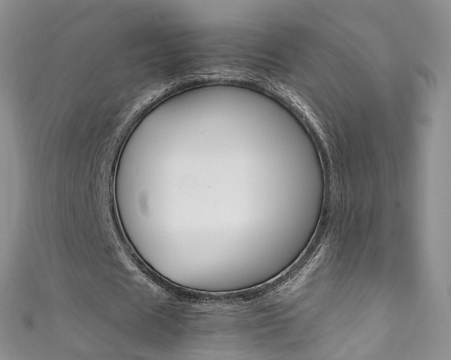 X0000111370625200907101017