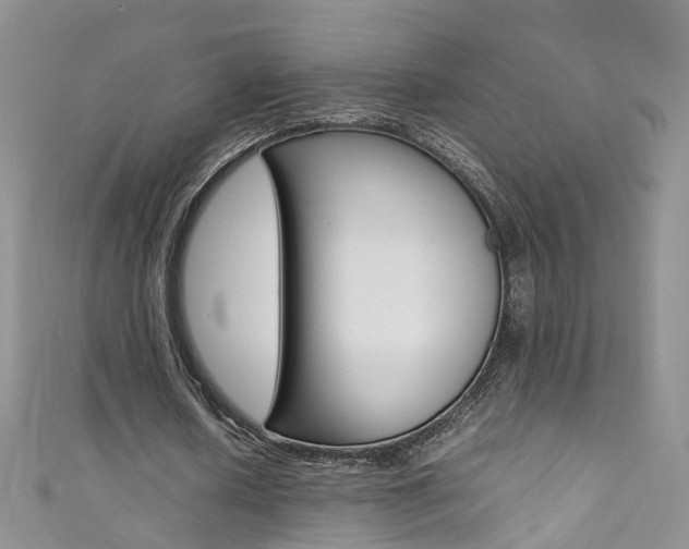 X0000111370626200907101017