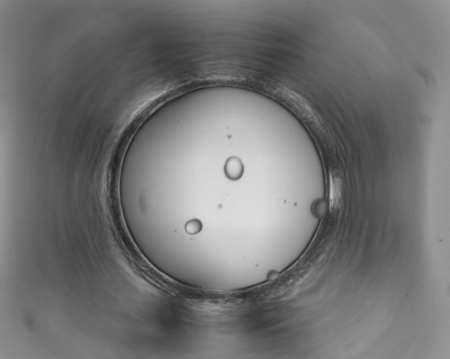 X0000111370627200907101018