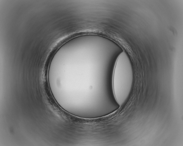 X0000111370628200907101018