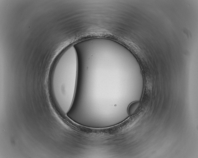 X0000111370630200907101018