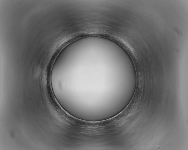 X0000111370631200907101018