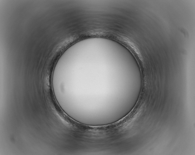 X0000111370633200907101018