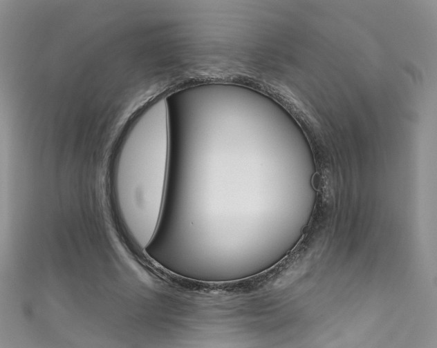 X0000111370634200907101018
