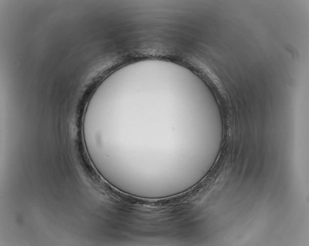 X0000111370635200907101018