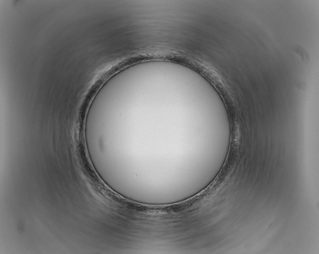 X0000111370636200907101018