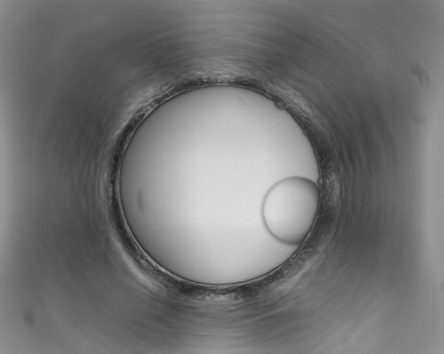 X0000111370638200907101018