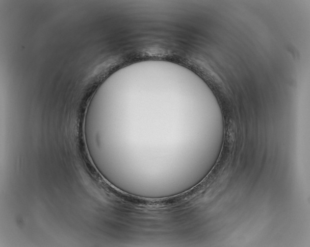 X0000111370639200907101018
