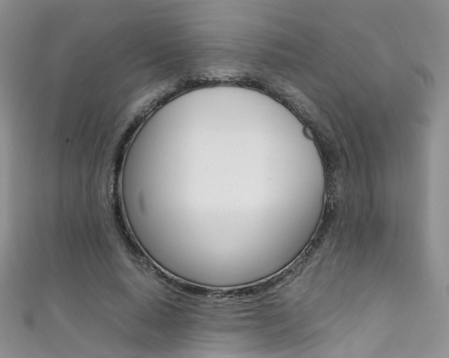 X0000111370640200907101018