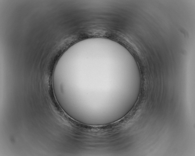 X0000111370641200907101018