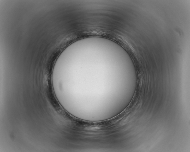 X0000111370643200907101018