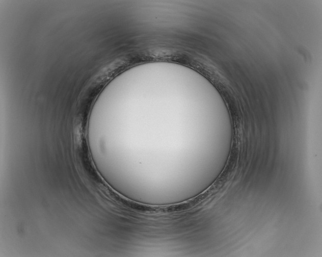X0000111370644200907101018