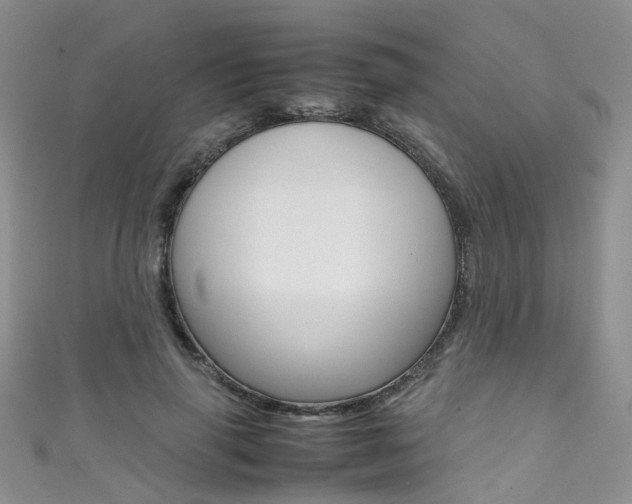 X0000111370645200907101018