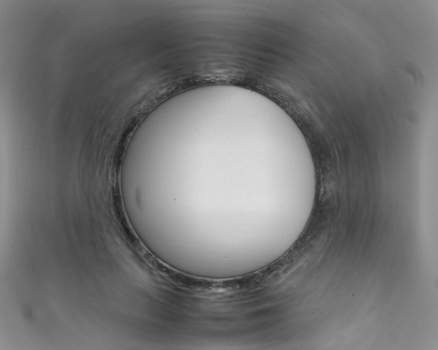 X0000111370647200907101018