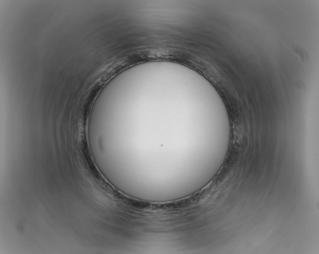 X0000111370648200907101018