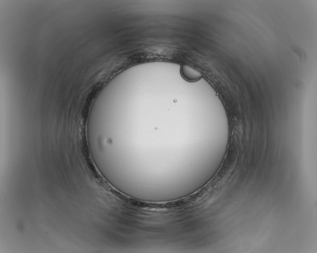 X0000111370649200907101018