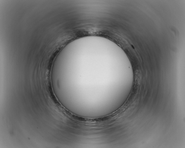 X0000111370650200907101018