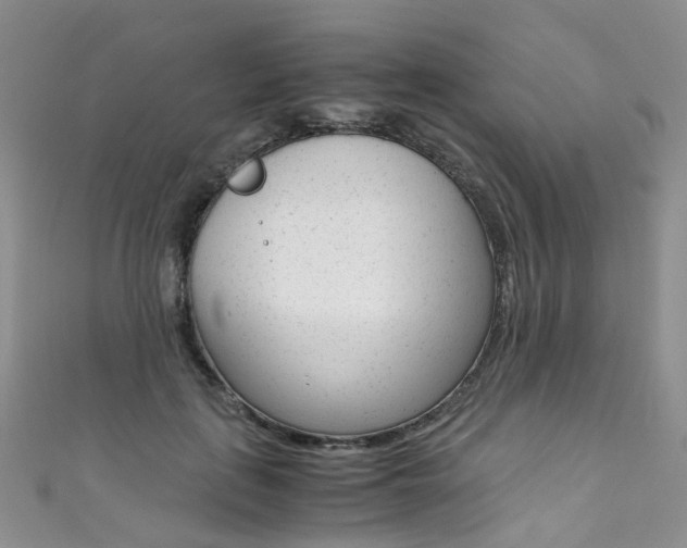 X0000111370651200907101018