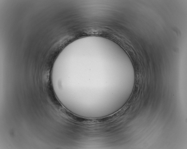 X0000111370652200907101018