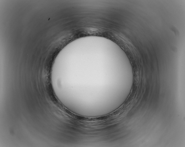 X0000111370653200907101018