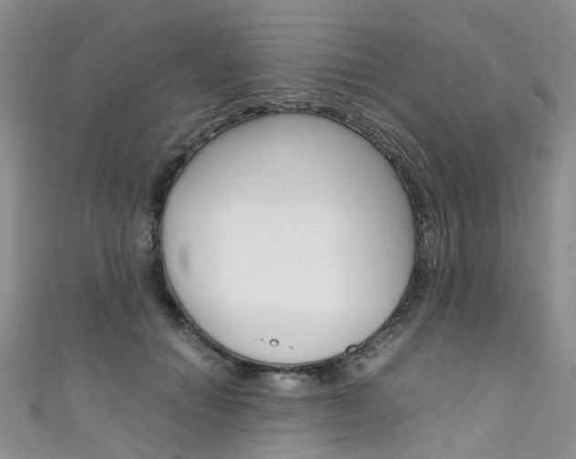 X0000111370654200907101018