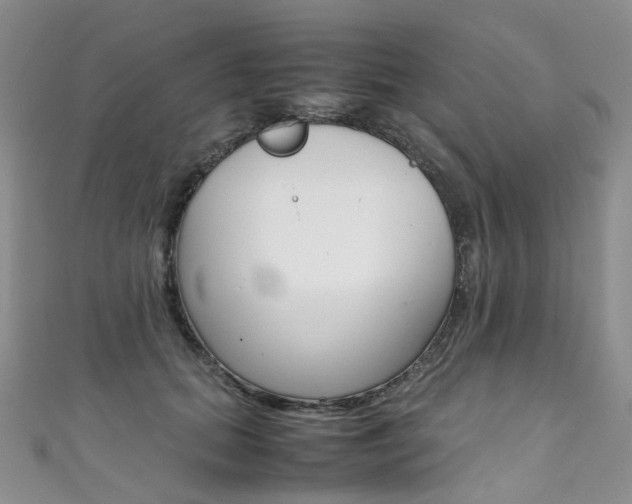 X0000111370655200907101018