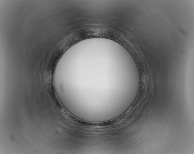 X0000111370657200907101018