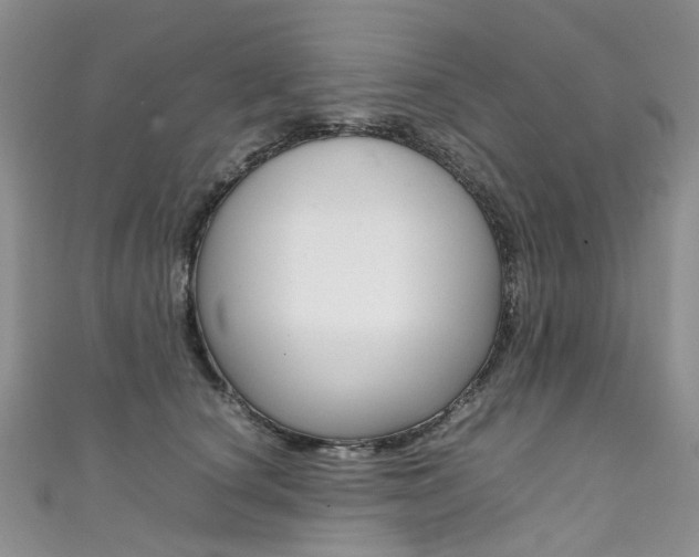 X0000111370660200907101018
