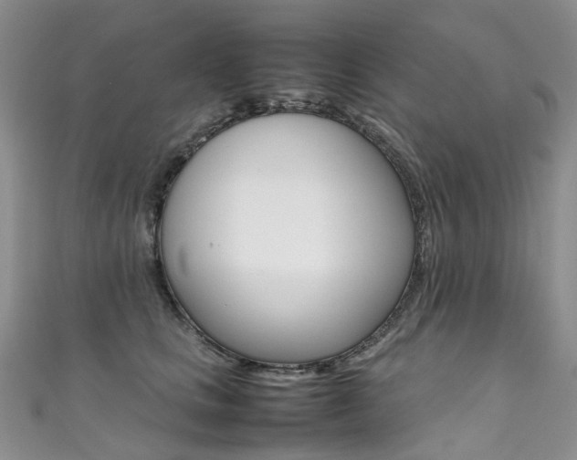 X0000111370661200907101018