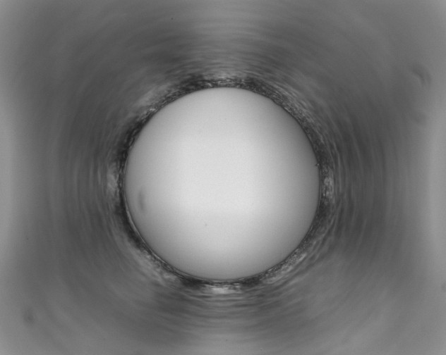 X0000111370662200907101018