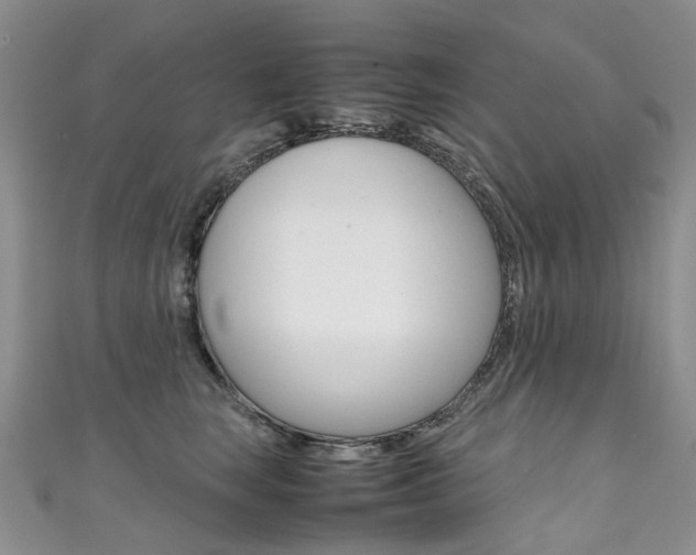 X0000111370663200907101018