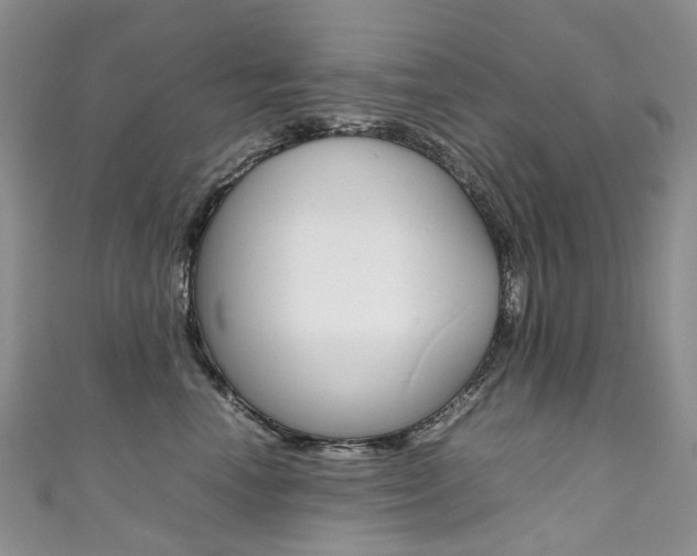 X0000111370666200907101018