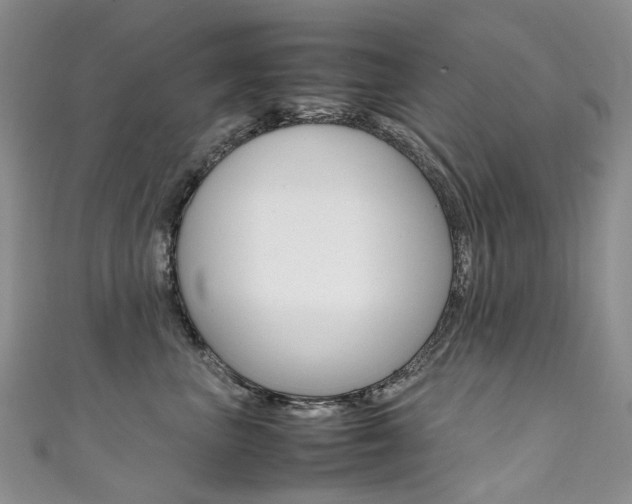 X0000111370667200907101018