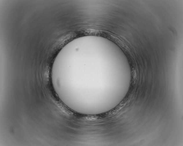 X0000111370668200907101018