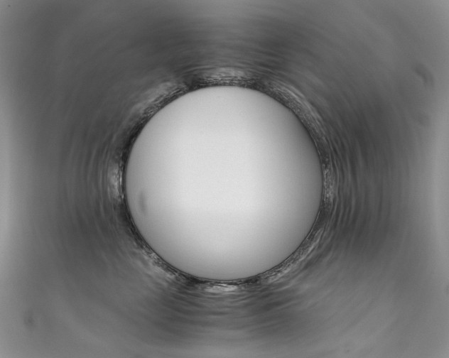 X0000111370669200907101018