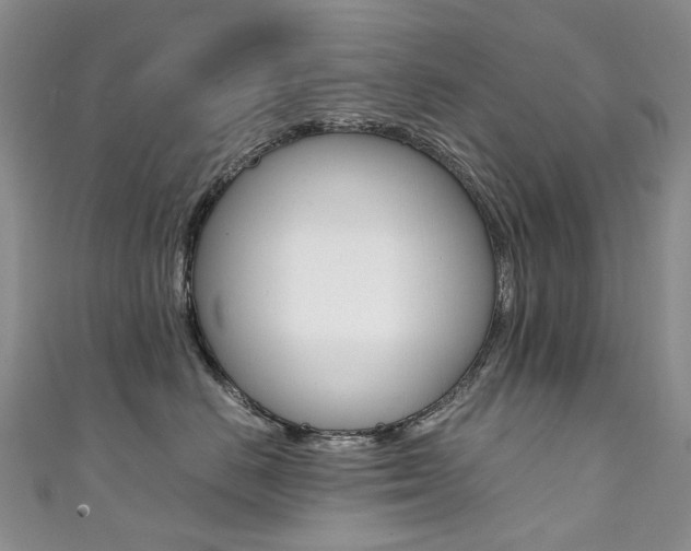 X0000111370670200907101018