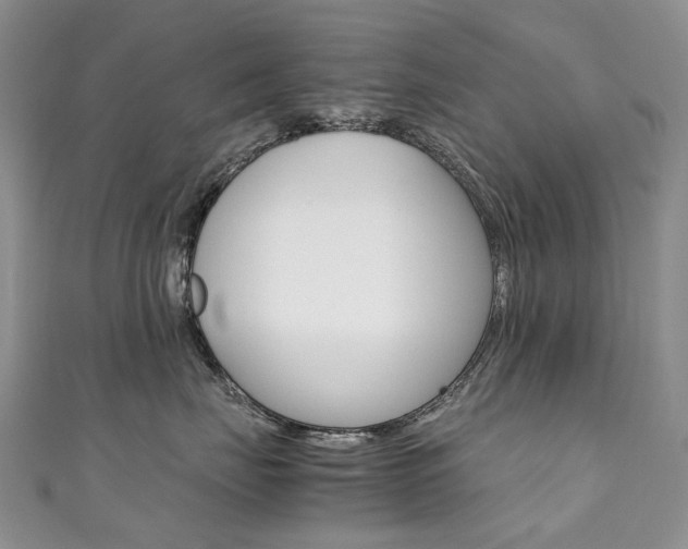X0000111370671200907101018