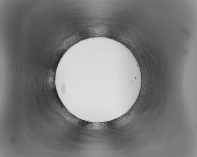 X0000111370672200907101018