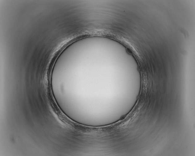 X0000111370674200907101017