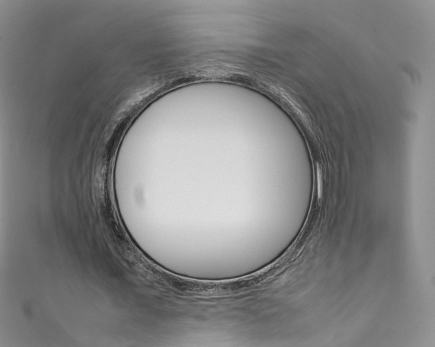 X0000111370675200907101017