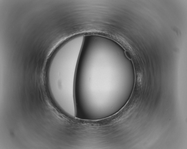 X0000111370676200907101017